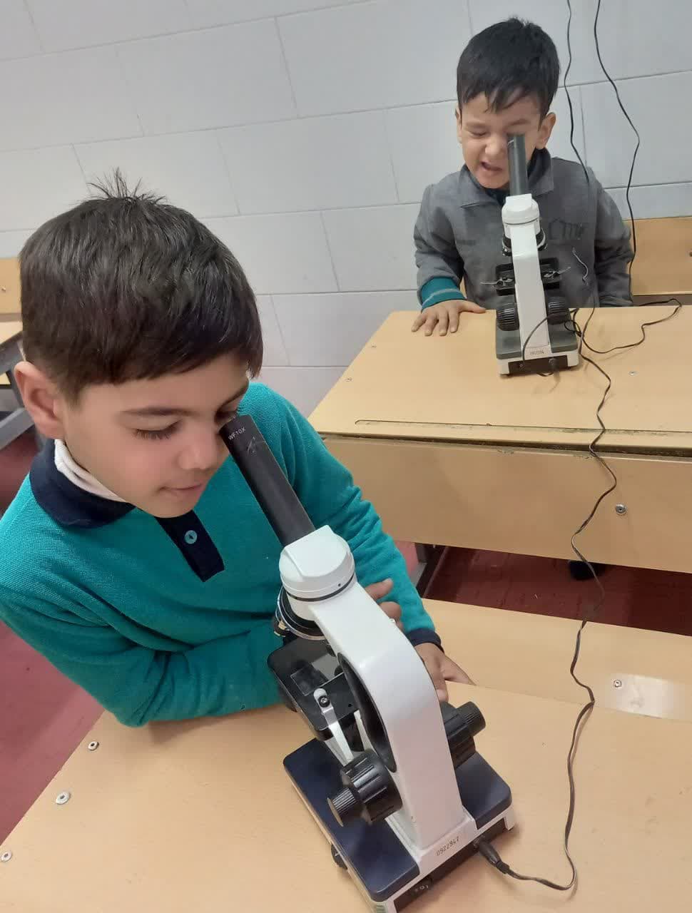 گردش در جهان موجودات ریز