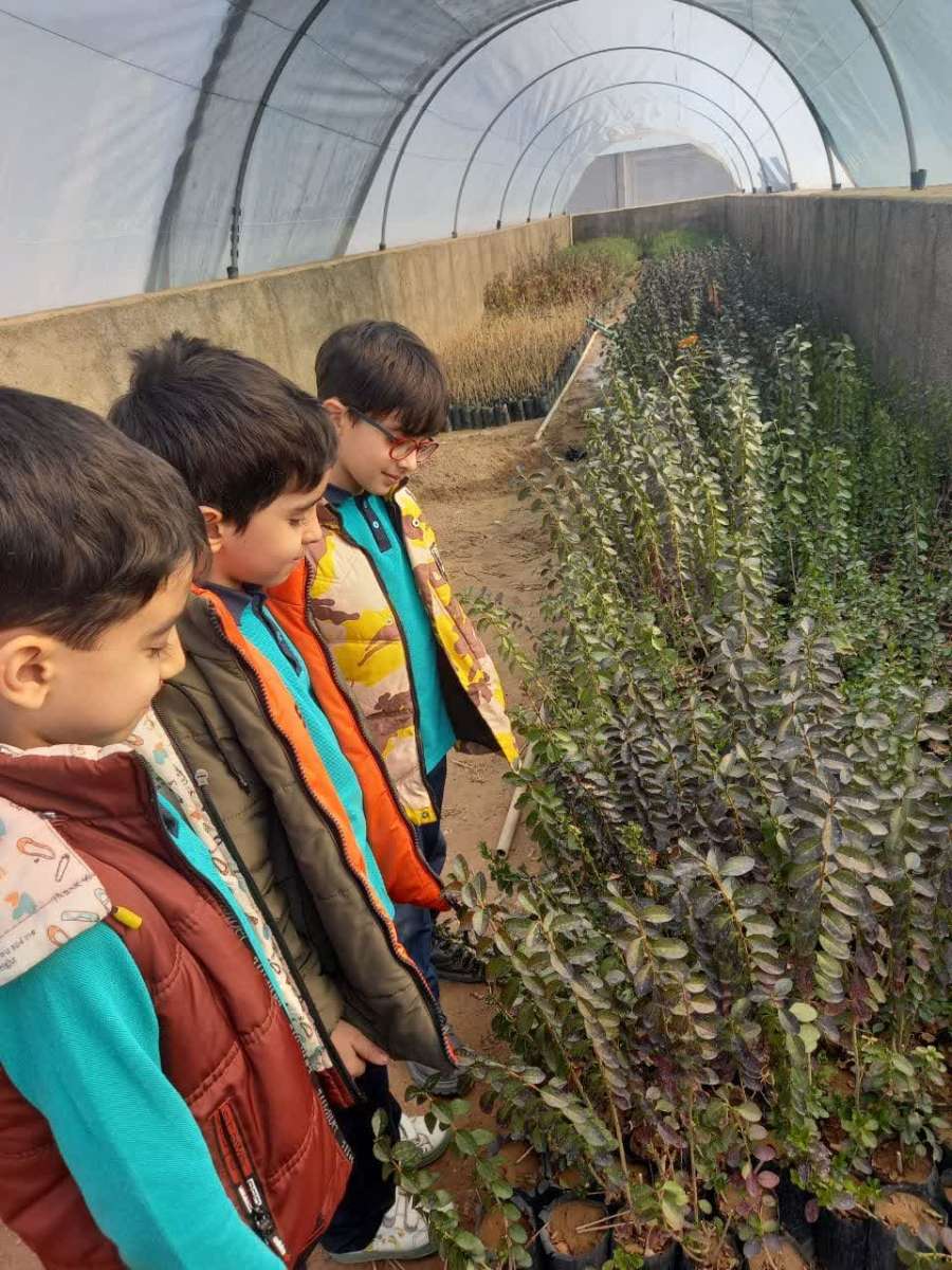 دنیای زیبای گیاهان