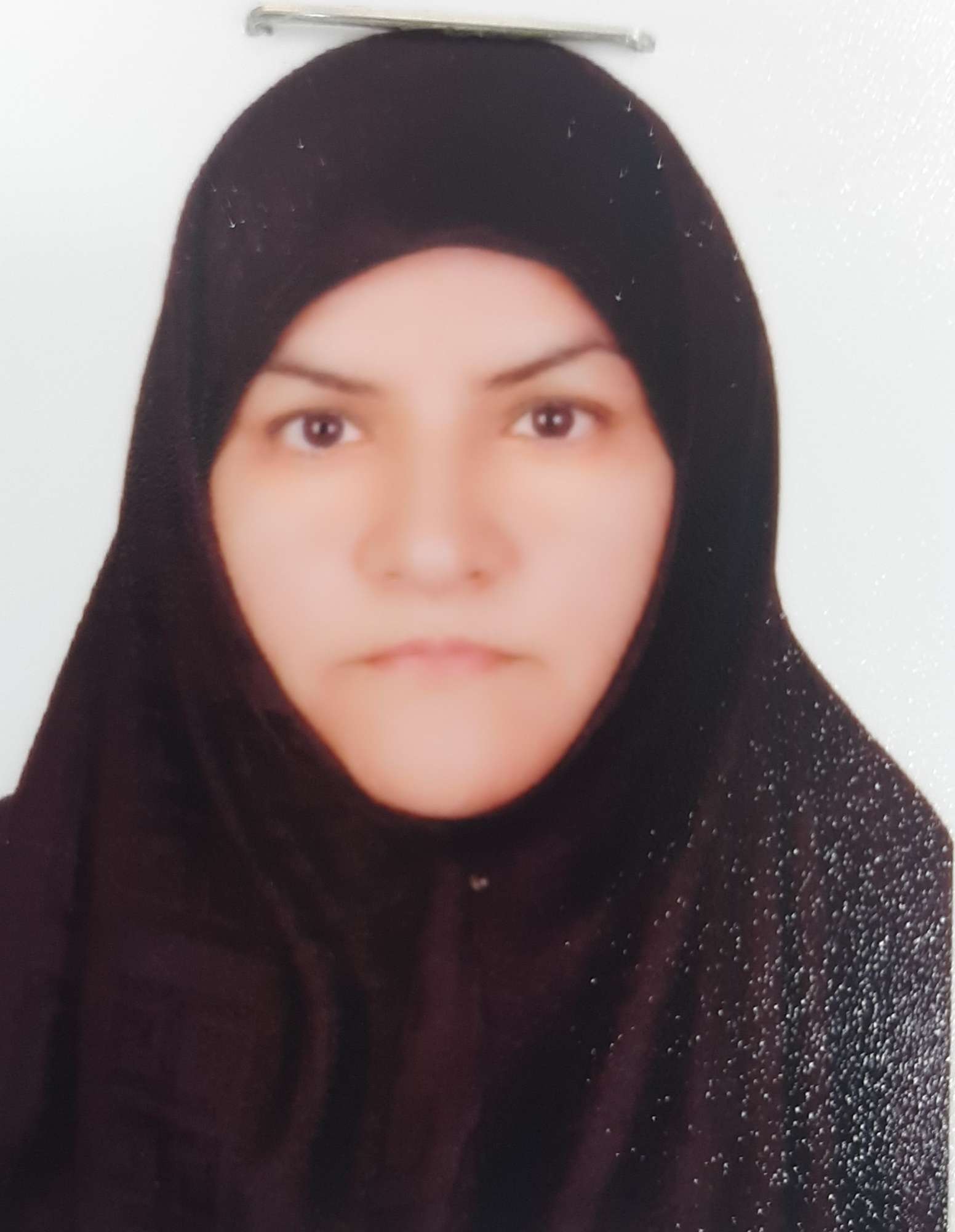 خدمتگزار